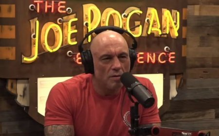 The Joe Rogan Experience: How One Podcast Changed Media Forever