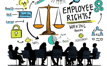 Employee Rights and Employer Responsibilities