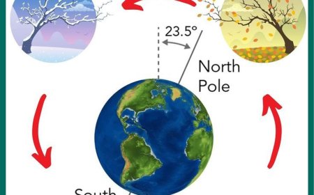 Test Your Knowledge of Earth’s Natural Features