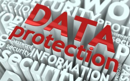 Data Protection & Privacy Laws