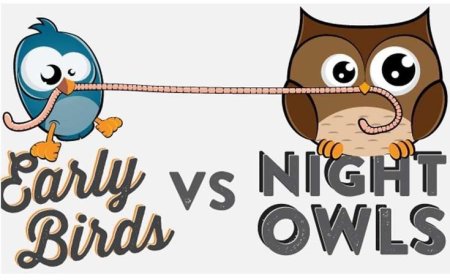 Are You a Morning Person or Night Owl?