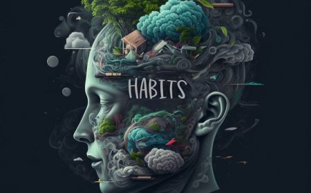 The Science of Focus and Habits