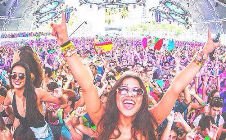 Are You a Calm Celebrator or a Grand Festival Planner?