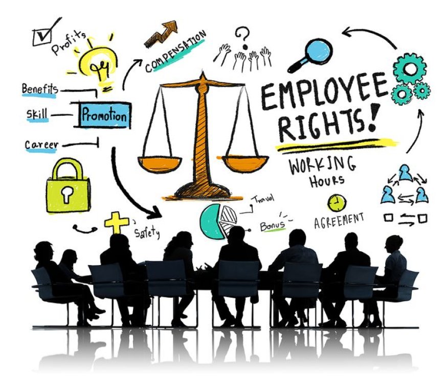 Employee Rights and Employer Responsibilities