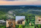 National Parks & Wildlife Conservation Trivia Quiz