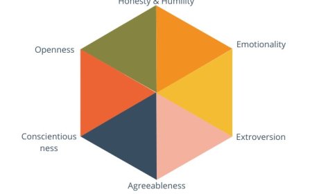 Recently I Studied This: How to Rewire Your Personality in 6 Weeks