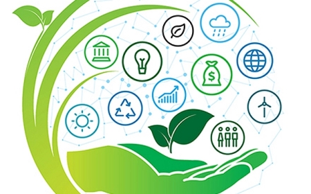 Sustainability 2.0 From Promises to Performance