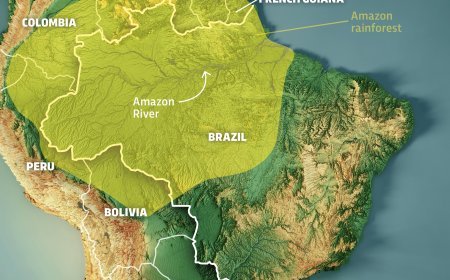 The Amazon's Deepest Secrets: Lost Cities, Boiling Rivers, and a History of Reversal