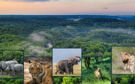 National Parks & Wildlife Conservation Trivia Quiz