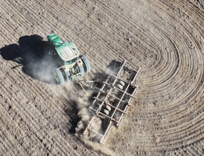 The "Lost" Forest: Scotland's Ancient Rebirth