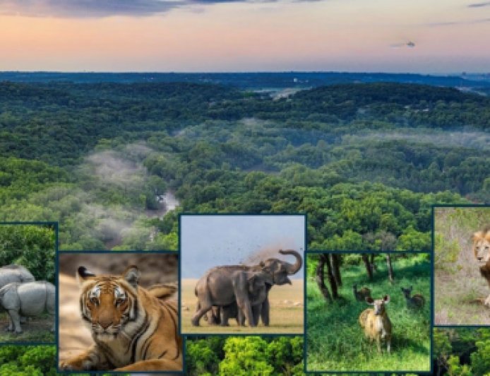 National Parks & Wildlife Conservation Trivia Quiz