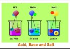 Quiz: Acids or Bases? Test Your Chemistry Basics!