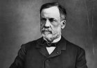 Louis Pasteur Quiz: Can You Get a Perfect Score?