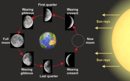 Moon Phases Quiz: Why the Moon Keeps Changing