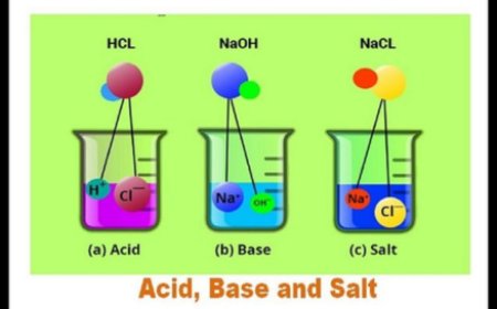 Quiz: Acids or Bases? Test Your Chemistry Basics!