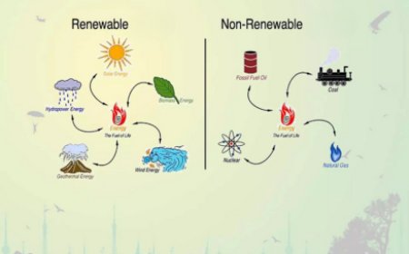 Quiz: Green or Gone? Test Your Energy Knowledge