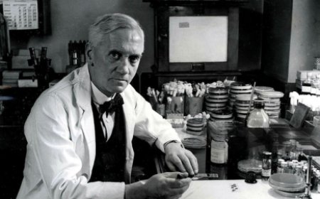 Alexander Fleming Quiz: Test Your Medical Knowledge