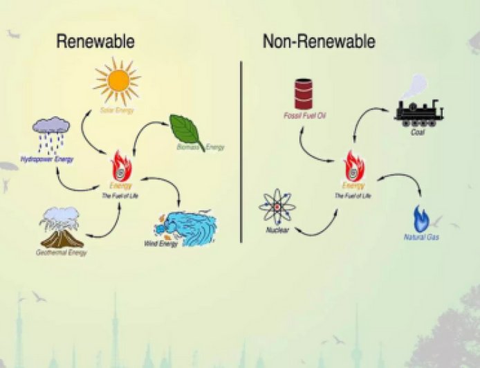 Quiz: Green or Gone? Test Your Energy Knowledge