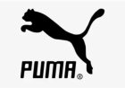 Puma Brand Quiz: Can You Score Full Marks?