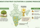 Which State Leads Star Fruit Production in India
