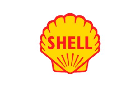 Shell Quiz: Test Your Knowledge Beyond Fuel