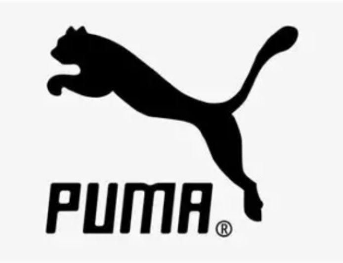 Puma Brand Quiz: Can You Score Full Marks?
