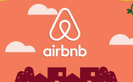 Airbnb Quiz: Can You Decode Its Growth?