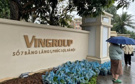 Vingroup Bets $6.5B on India: EVs, Townships & Critical Minerals