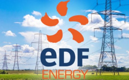 EDF Quiz: Beyond Reactors and Power Plants