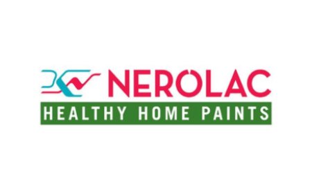 Nerolac Paints Quiz: Do You Know Kansai?