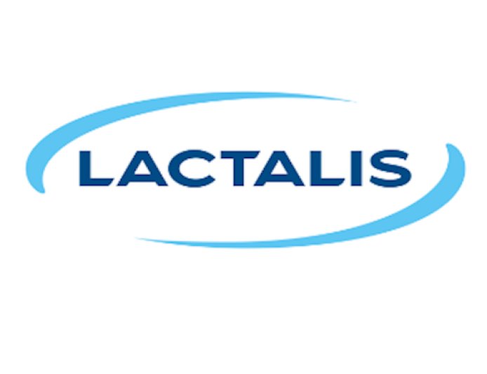 Lactalis Quiz: You Know the Products, Not the Brand