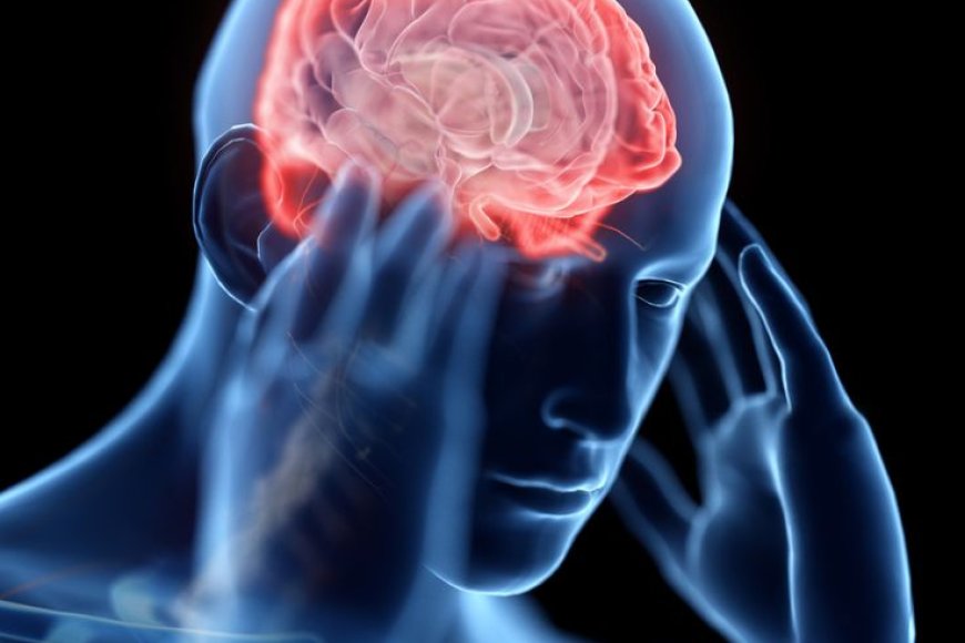 What is the key hormone responsible for stress?