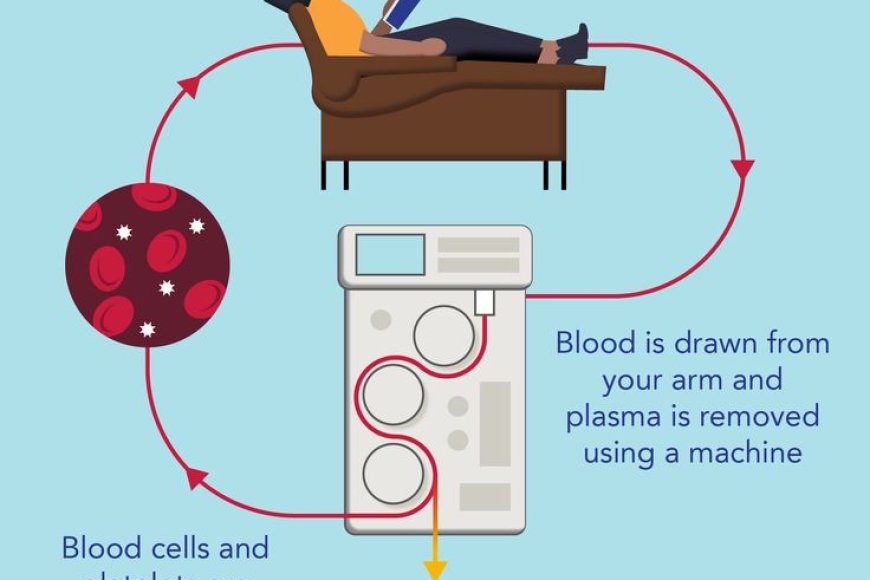 Which particle has zero rest mass?