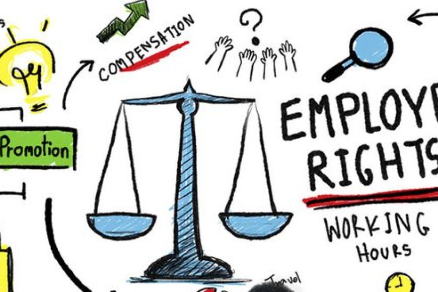 Which regulatory area protects employees’ rights at the workplace?