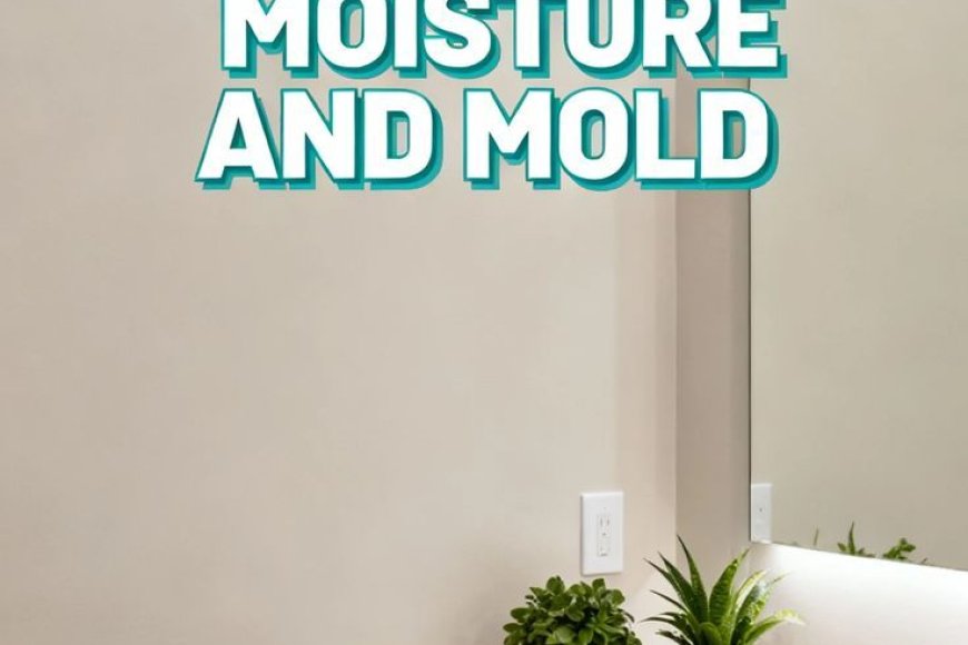 What is the most suitable paint type for bathroom walls to resist moisture?