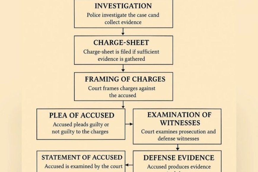 A provision discussing procedures for arrest, investigation, and trial belongs to which code?