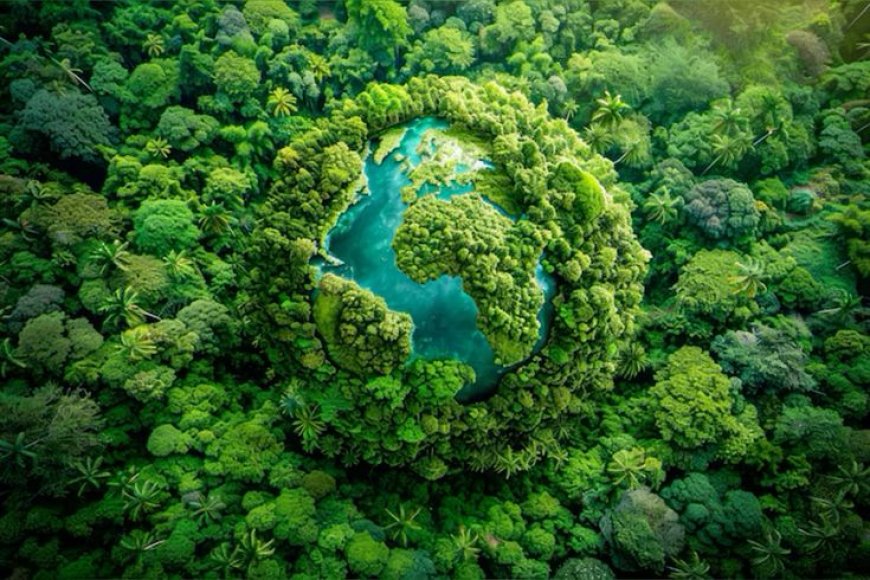 What does the term “environmental impact” mainly refer to?