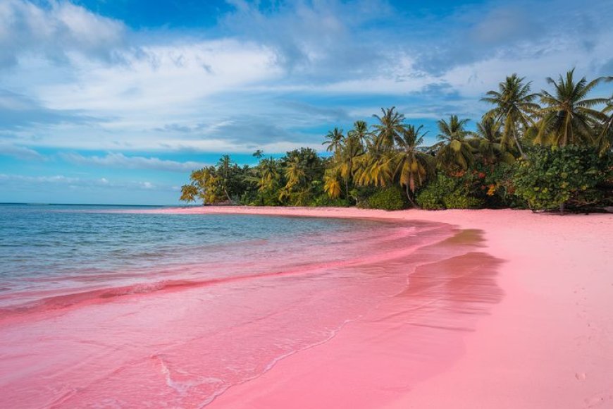 Which beach is famous for its pink sand?