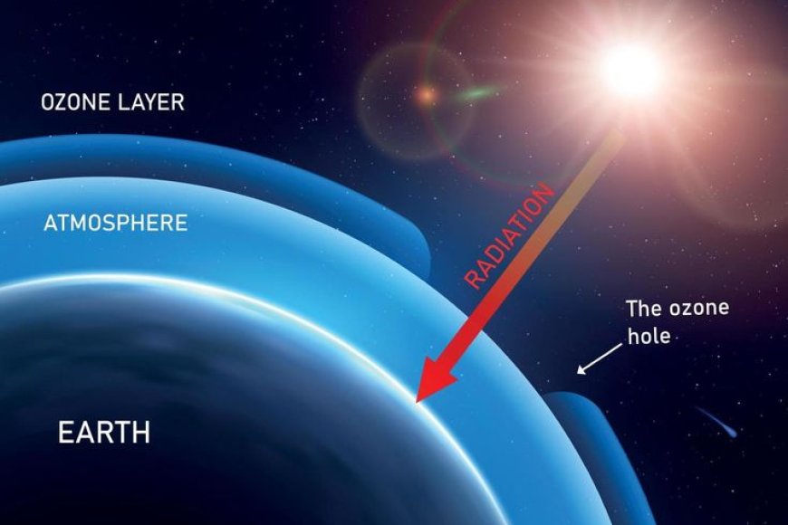 Which layer of the Earth's atmosphere contains the ozone layer, which protects us from ultraviolet radiation?