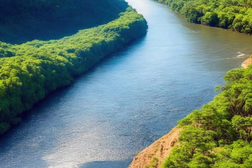 Which river is the longest in the world?