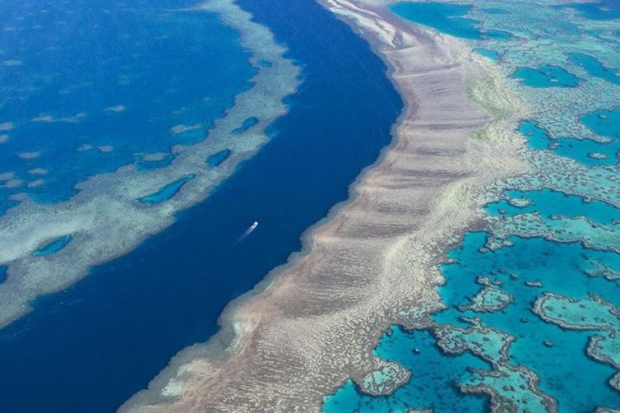  The Great Barrier Reef is located in which sea?