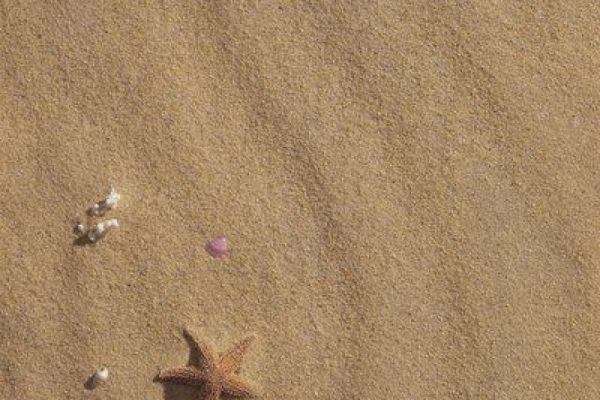 Which type of beach sand is most commonly found worldwide?